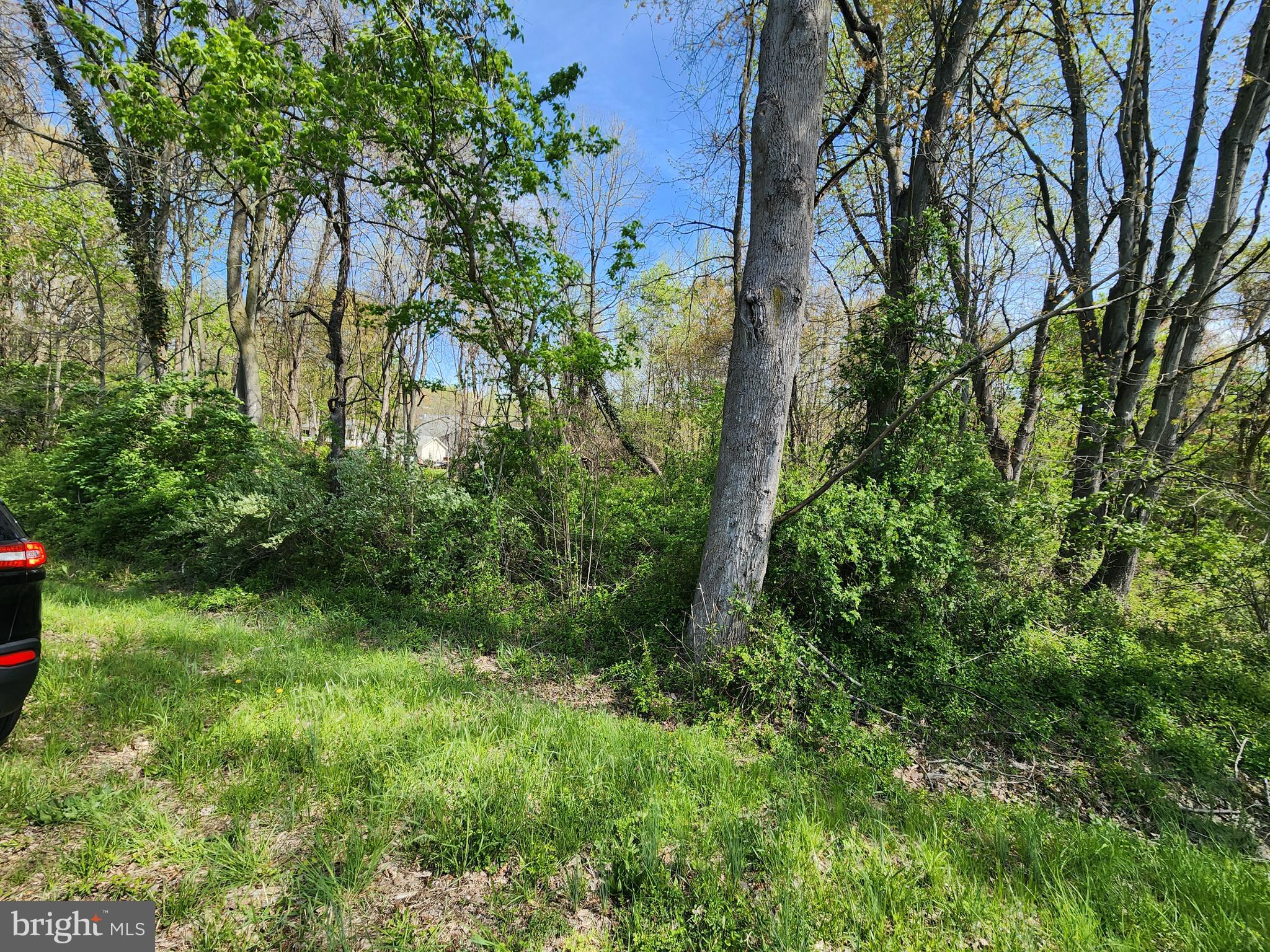 Towhee Road Chestertown, MD 21620 - Photo 3 of 4