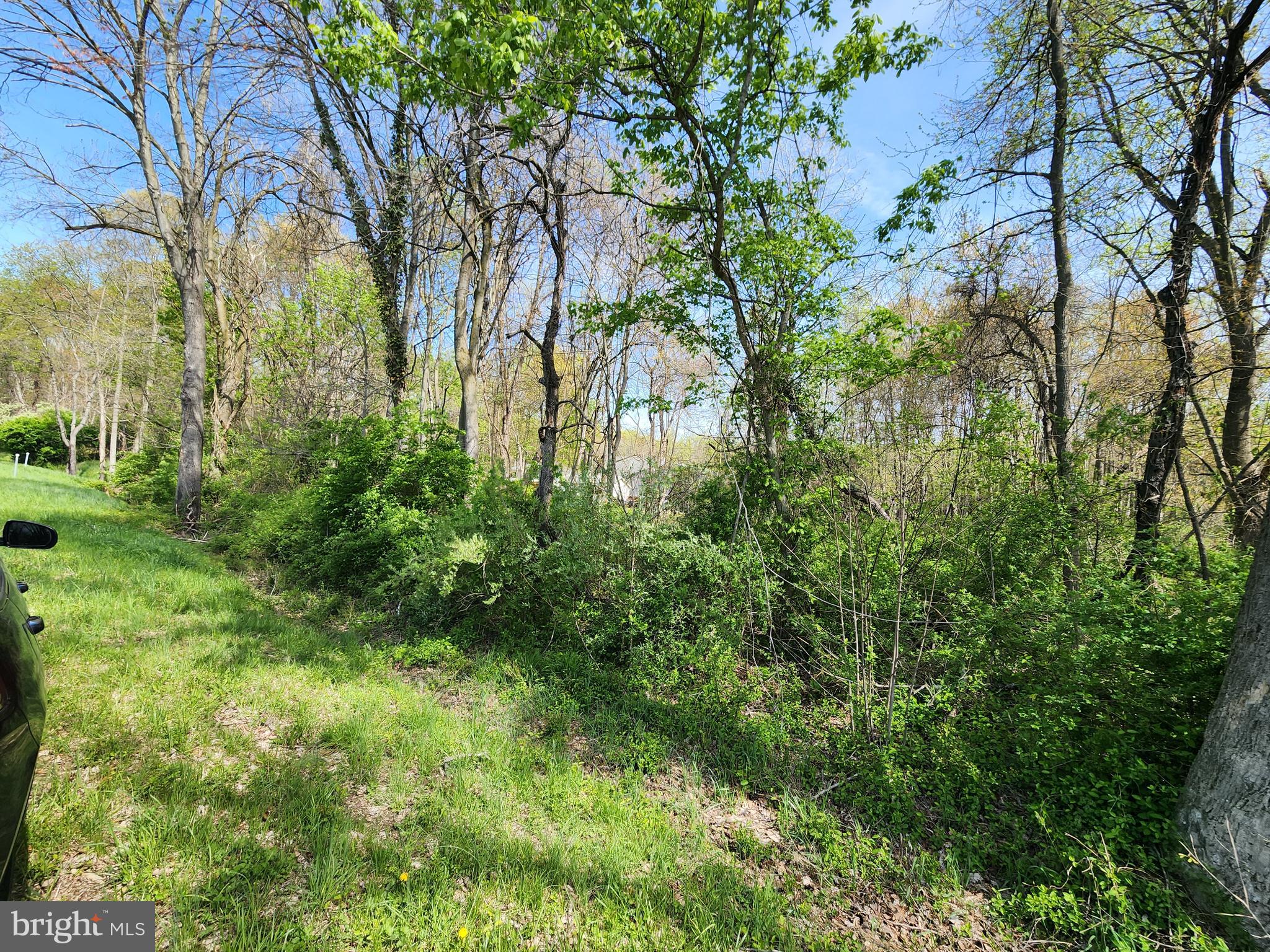 Towhee Road Chestertown, MD 21620 - Photo 4 of 4