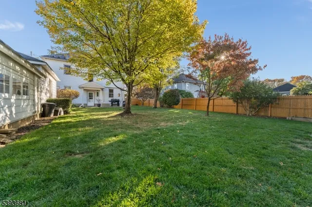a view of a park with large trees
