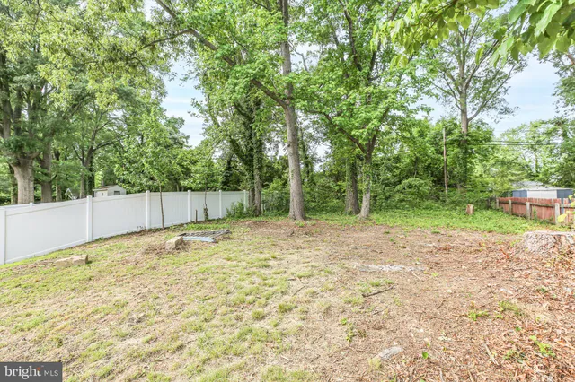 a view of a backyard with large trees