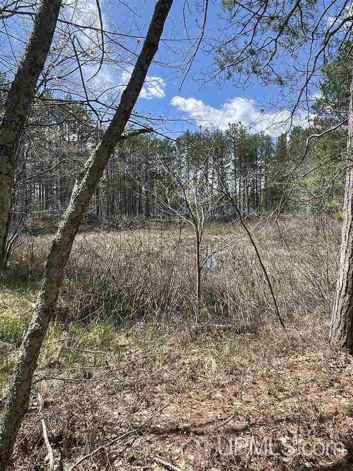 121 West Gordon Road Marquette, MI 49855 - Photo 9 of 14