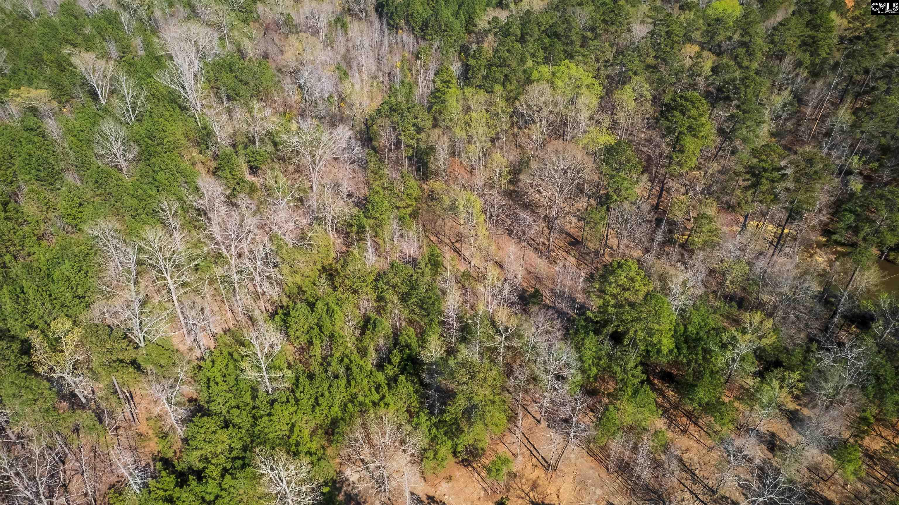 359 Holly Point Road Prosperity, SC 29127 - Photo 3 of 13