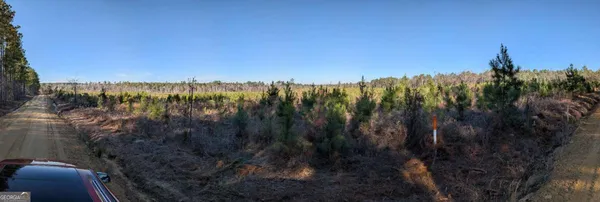 $1,900,000 | 40 Drew Bennett Road, Midville, GA 30441