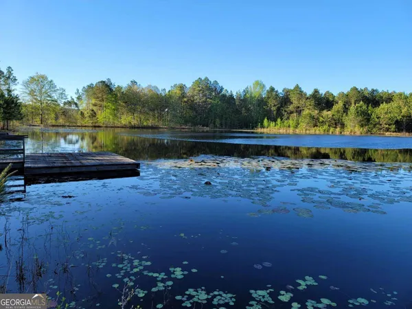 $1,900,000 | 40 Drew Bennett Road, Midville, GA 30441