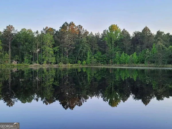 $1,900,000 | 40 Drew Bennett Road, Midville, GA 30441