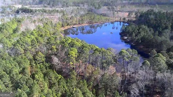 $1,900,000 | 40 Drew Bennett Road, Midville, GA 30441