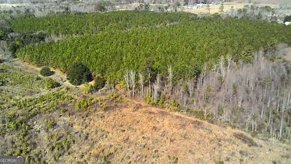 $1,900,000 | 40 Drew Bennett Road, Midville, GA 30441