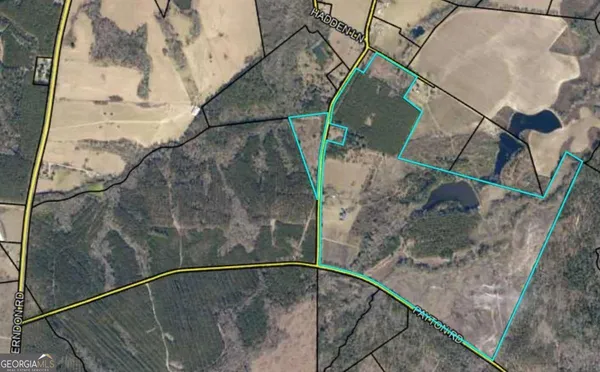 $1,900,000 | 40 Drew Bennett Road, Midville, GA 30441