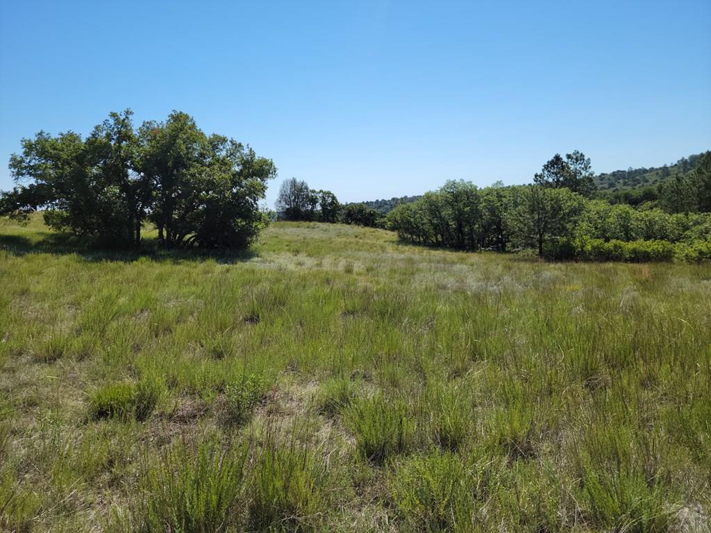 Tbd Haynes Road South Beulah, CO 81023 - Photo 9 of 17