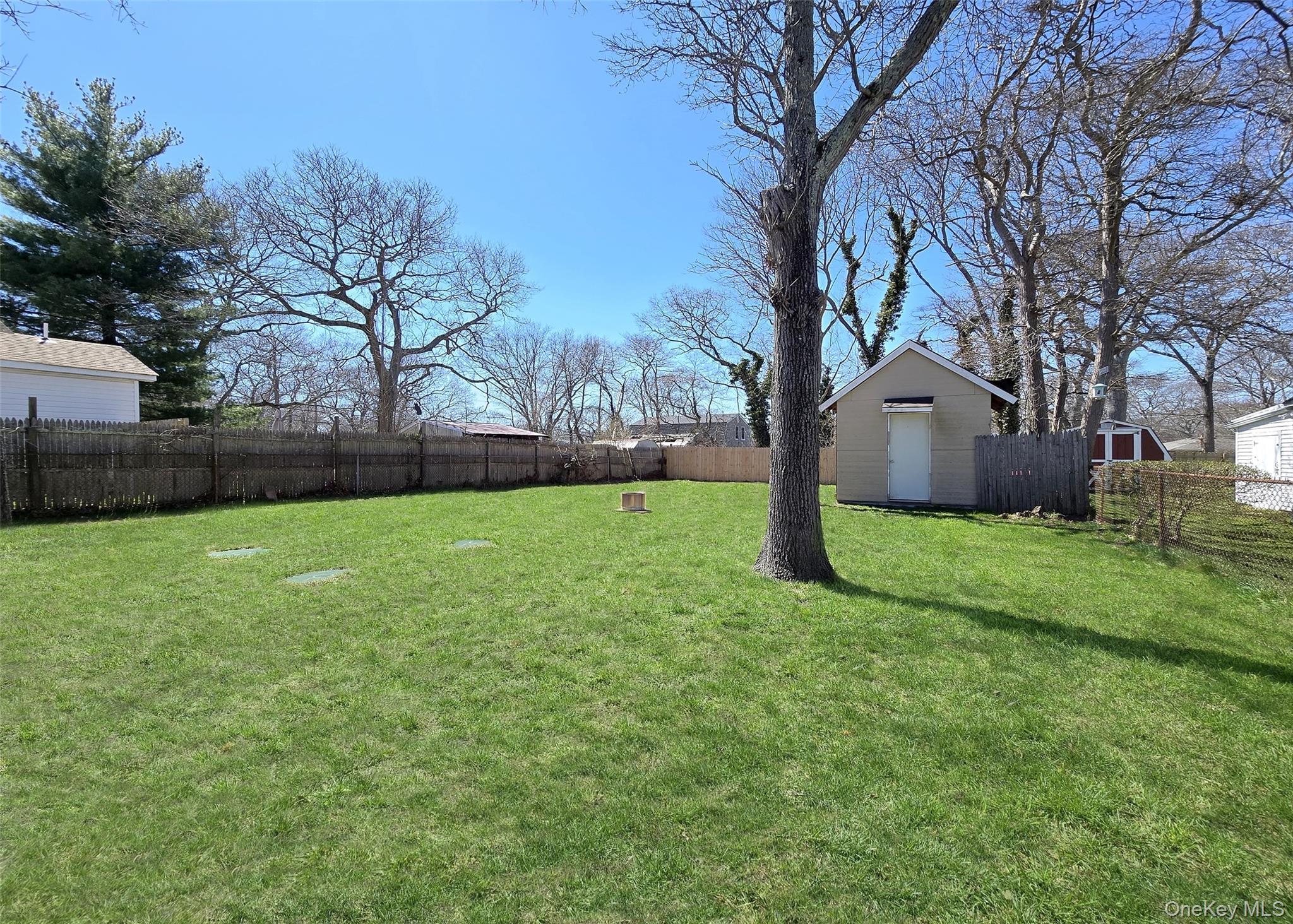 20 Daisy Place Selden, NY 11784 - Photo 12 of 13 a view of a tree in front of a house