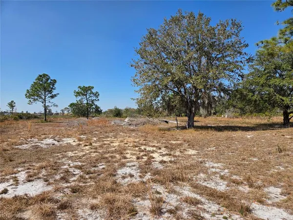 a house view with a backyard space