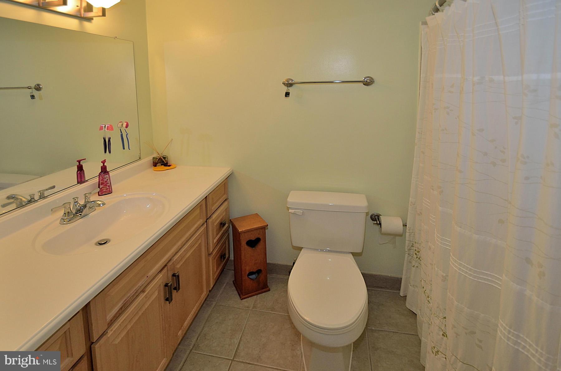 407 Wolftrap Road Southeast Vienna, VA 22180 - Photo 13 of 18 Guest Bath