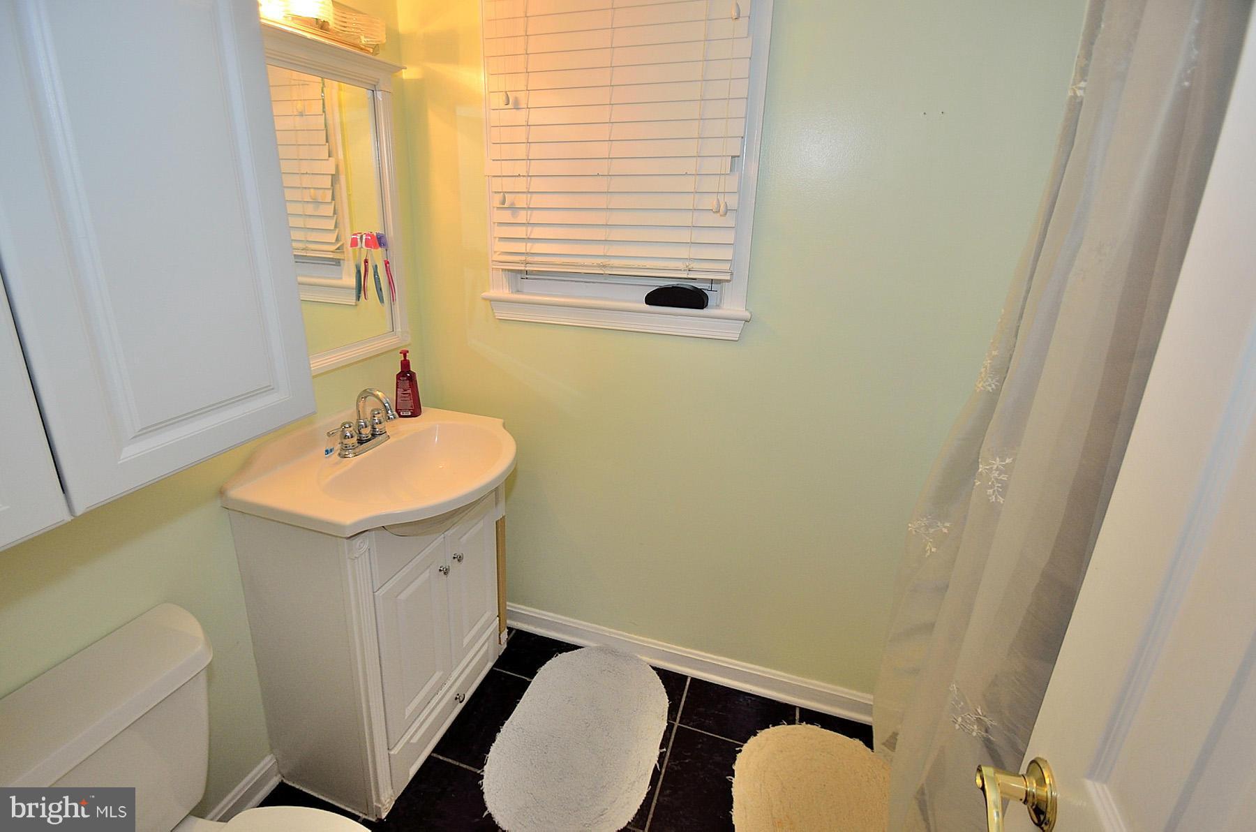 407 Wolftrap Road Southeast Vienna, VA 22180 - Photo 18 of 18 Lower Level Full Bath