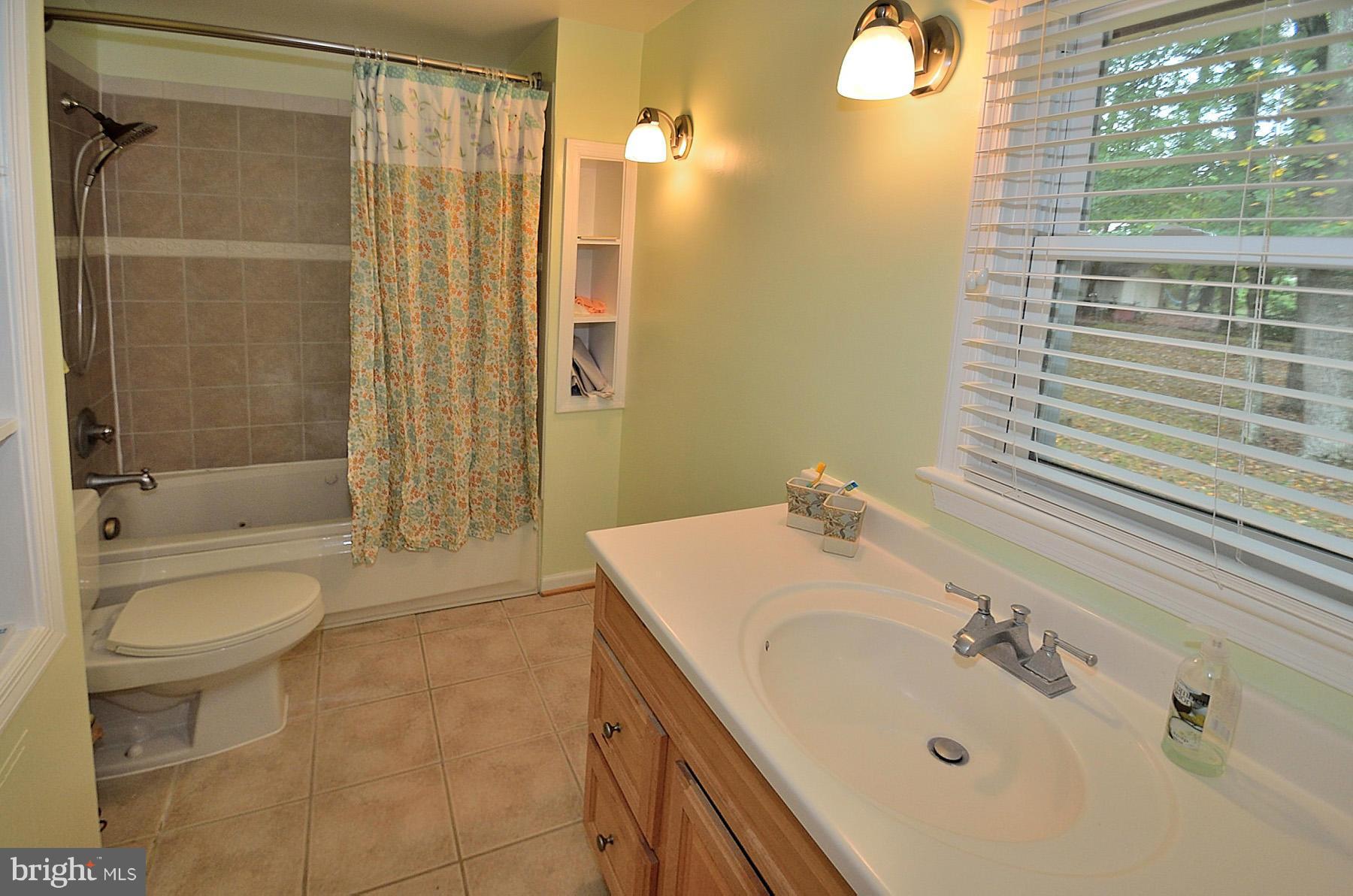 407 Wolftrap Road Southeast Vienna, VA 22180 - Photo 10 of 18 Bath (Master)