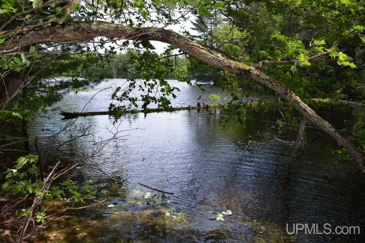 0 H58 Road Shingleton, MI 49884 - Photo 3 of 12