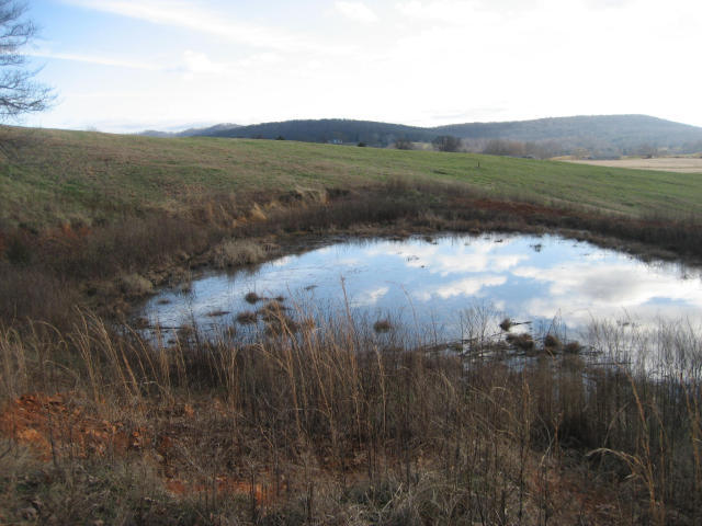 Begley Branch Road Pall Mall, TN 38577 - Photo 14 of 26 20171022195804586035000000-o