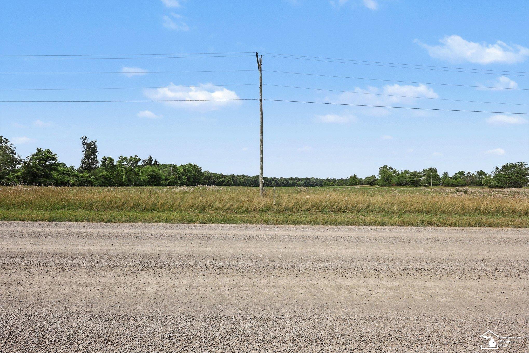 4000 Tomer Road Adrian, MI 49221 - Photo 15 of 19