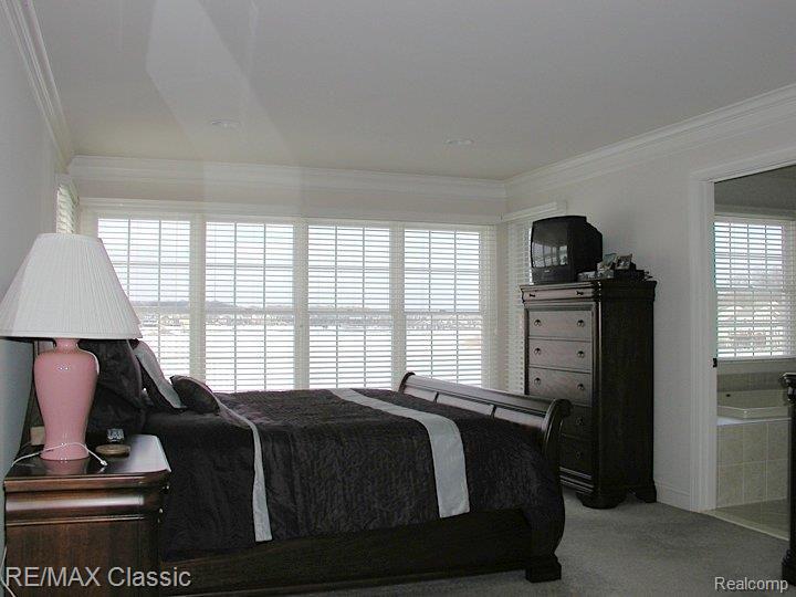 24799 Reeds Pointe Drive Novi, MI 48374 - Photo 11 of 22 P3051561.jpg