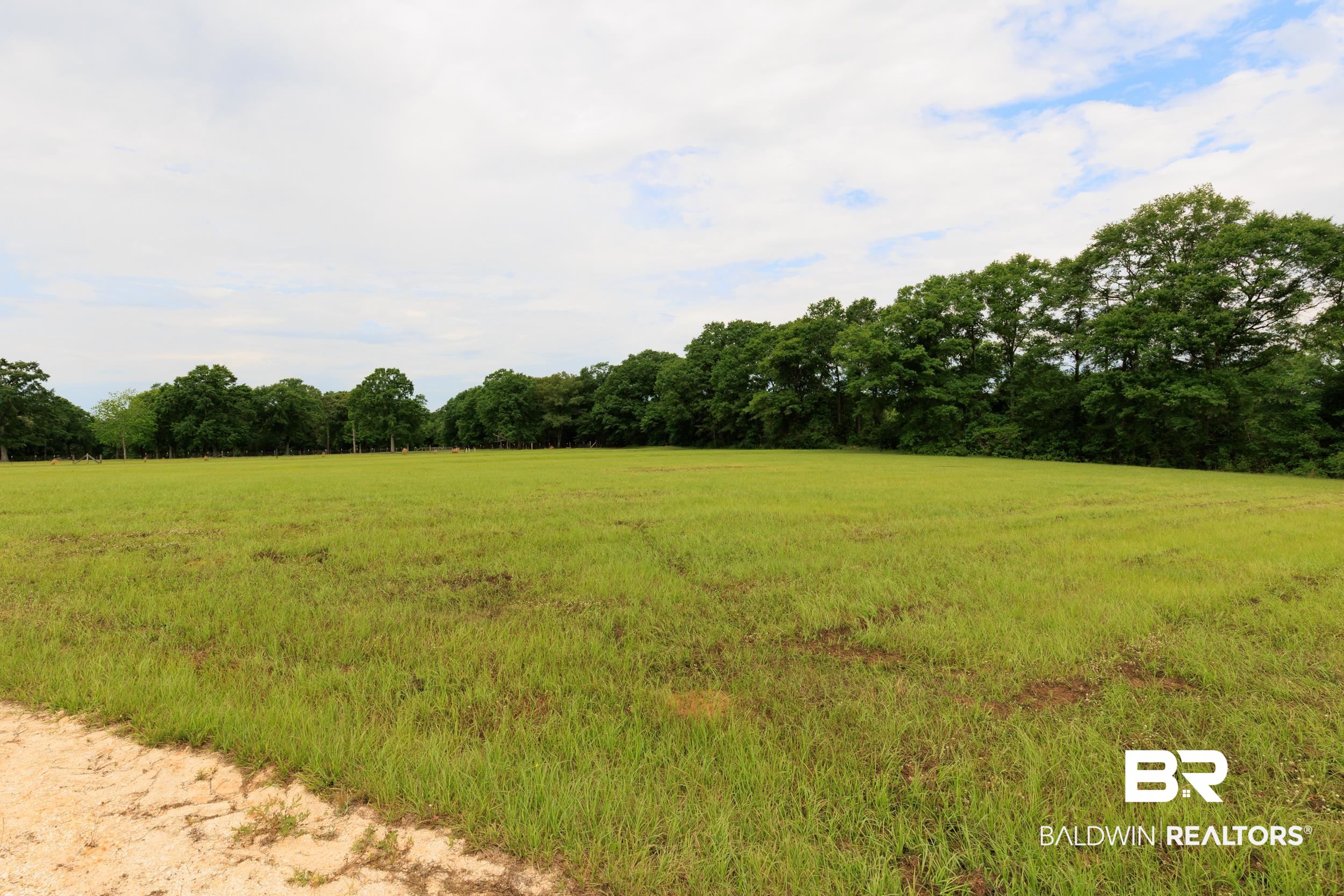 6725 Upper Creek Road Flomaton, AL 36441 - Photo 32 of 61 View of wooded area with a view of rural / pastoral area