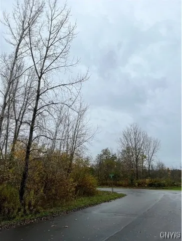 $48,900 | 125 Arcadia Avenue, Oswego, NY 13126