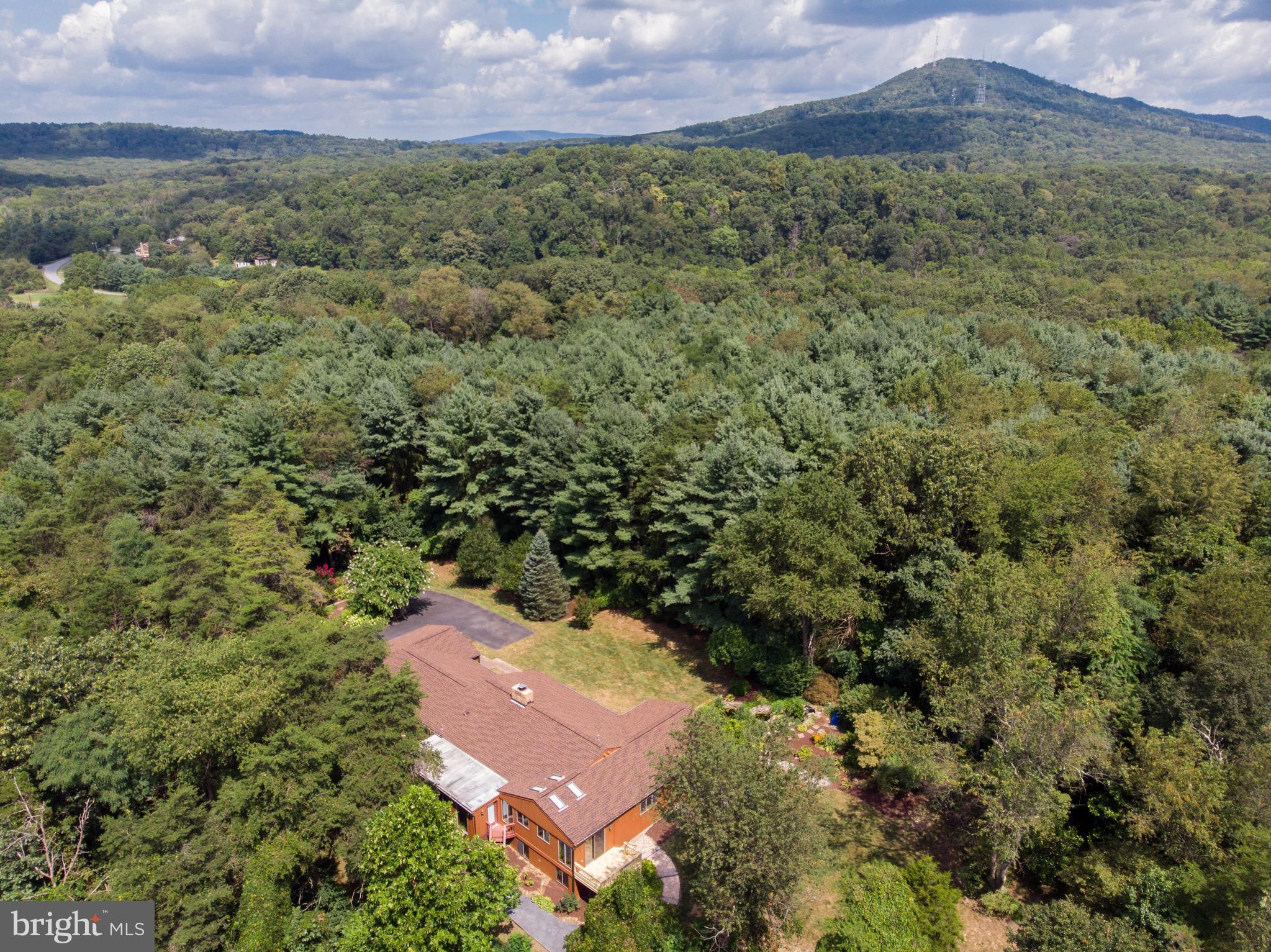 11896 Mountain Ash Road Clear Spring, MD 21722 - Photo 47 of 50 Seclusion!