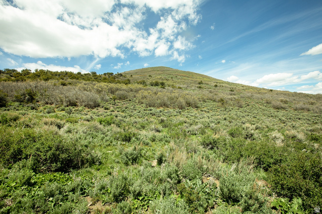 1646 North Miles Holw Road, Unit 29 Kamas, UT 84036 - Photo 28 of 35 Expansive natural terrain featuring diverse scrubland vegetation and varying elevations