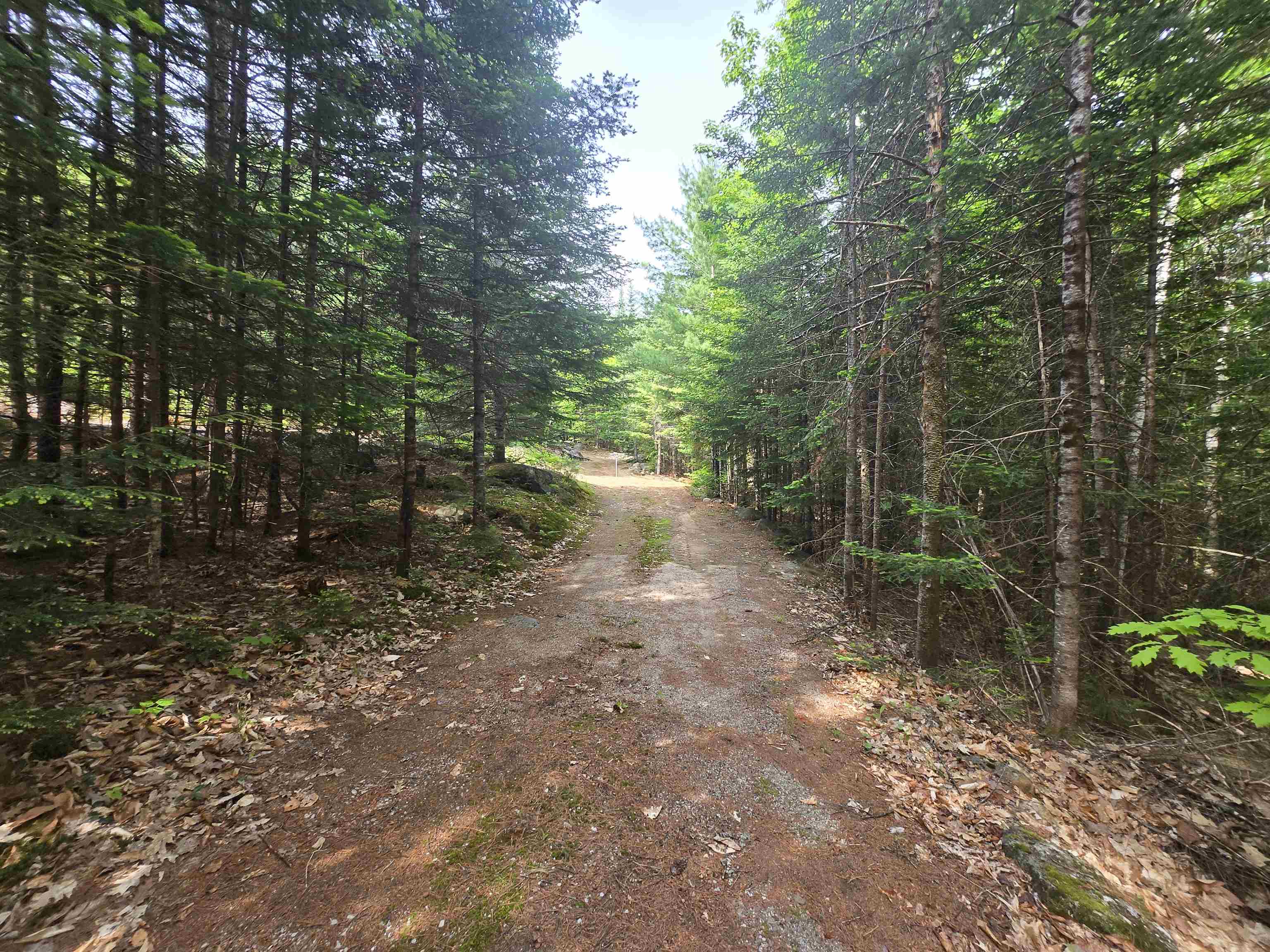 0 Thorn Hill Road, Unit R148B Jackson, NH 03846 - Photo 5 of 21