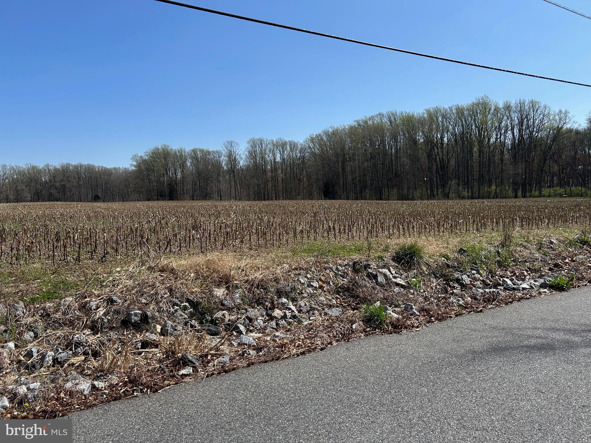 556 Union Church Road Townsend, DE 19734 - Photo 6 of 8 a view of a lake with a park