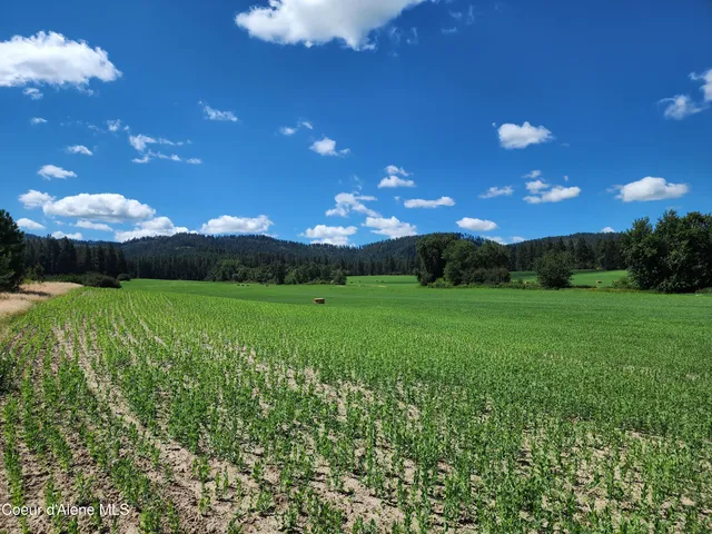 $625,000 | Nka Desmet Road, Desmet, ID 83824