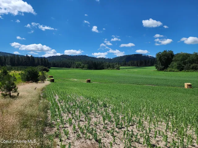 $625,000 | Nka Desmet Road, Desmet, ID 83824