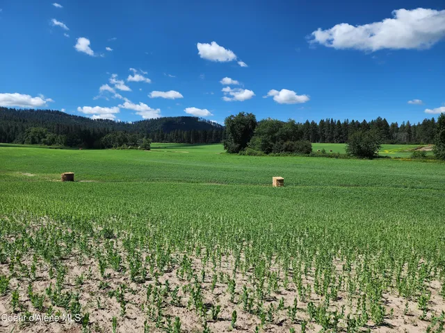 $625,000 | Nka Desmet Road, Desmet, ID 83824