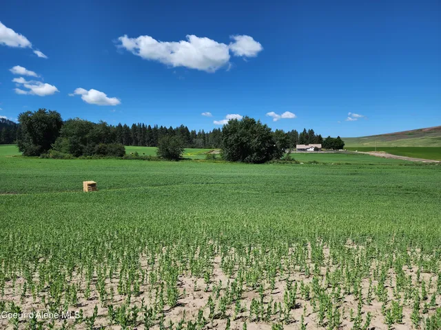 $625,000 | Nka Desmet Road, Desmet, ID 83824