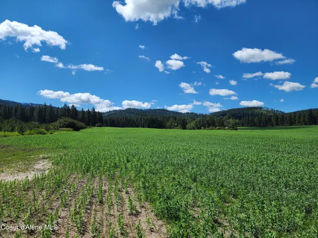 $625,000 | Nka Desmet Road, Desmet, ID 83824