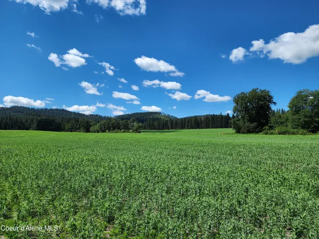 $625,000 | Nka Desmet Road, Desmet, ID 83824