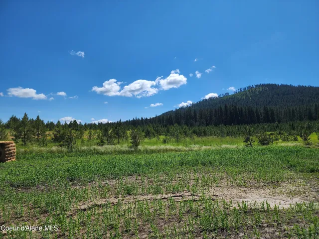 $625,000 | Nka Desmet Road, Desmet, ID 83824