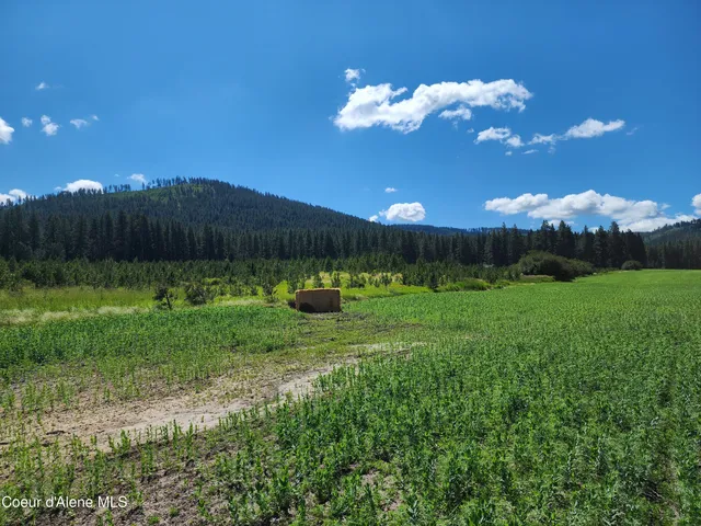 $625,000 | Nka Desmet Road, Desmet, ID 83824