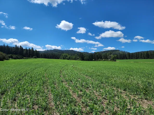 $625,000 | Nka Desmet Road, Desmet, ID 83824