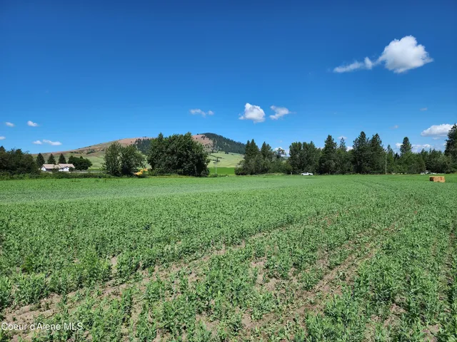 $625,000 | Nka Desmet Road, Desmet, ID 83824