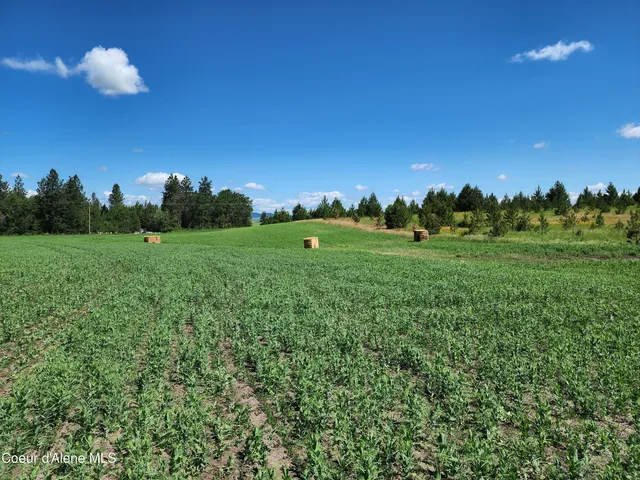 $625,000 | Nka Desmet Road, Desmet, ID 83824
