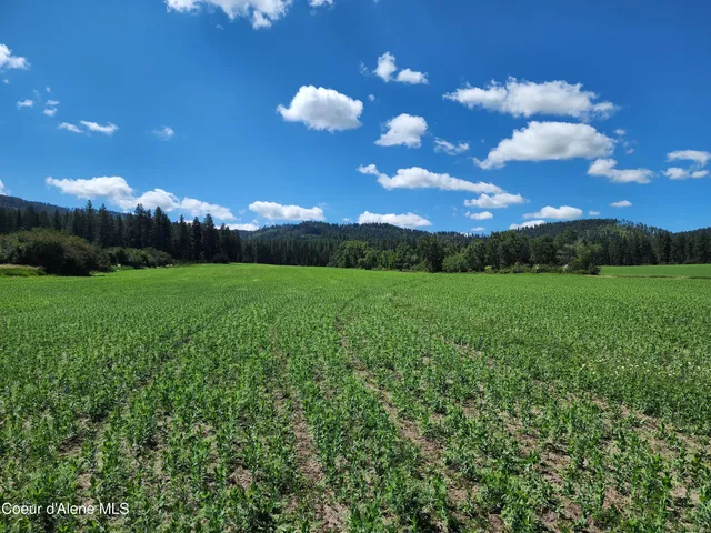 $625,000 | Nka Desmet Road, Desmet, ID 83824