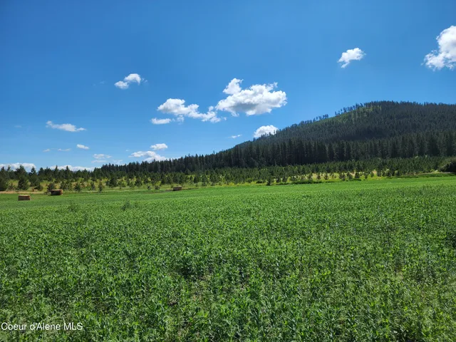 $625,000 | Nka Desmet Road, Desmet, ID 83824