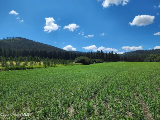 $625,000 | Nka Desmet Road, Desmet, ID 83824
