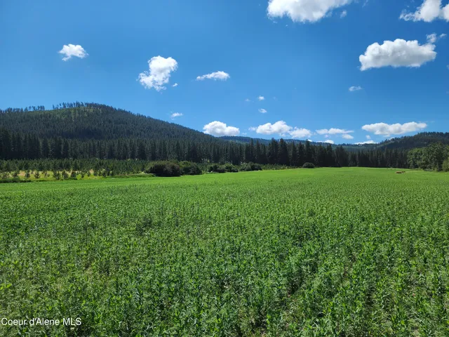 $625,000 | Nka Desmet Road, Desmet, ID 83824