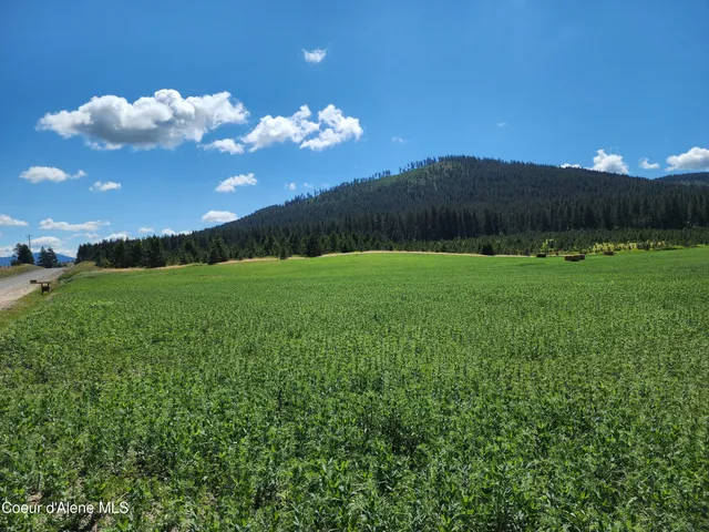 $625,000 | Nka Desmet Road, Desmet, ID 83824