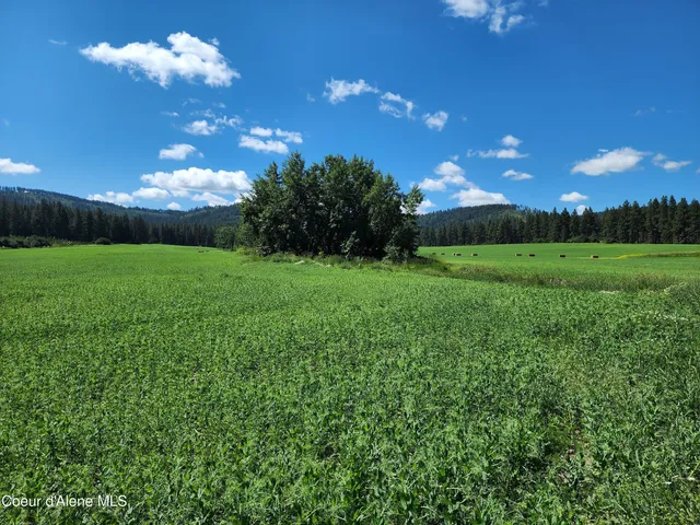 $625,000 | Nka Desmet Road, Desmet, ID 83824
