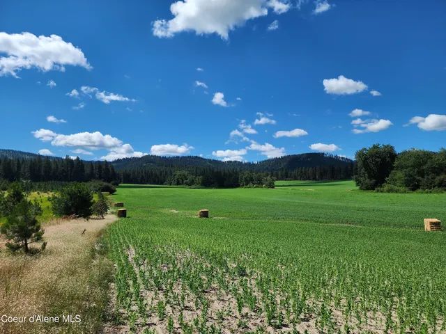 $625,000 | Nka Desmet Road, Desmet, ID 83824