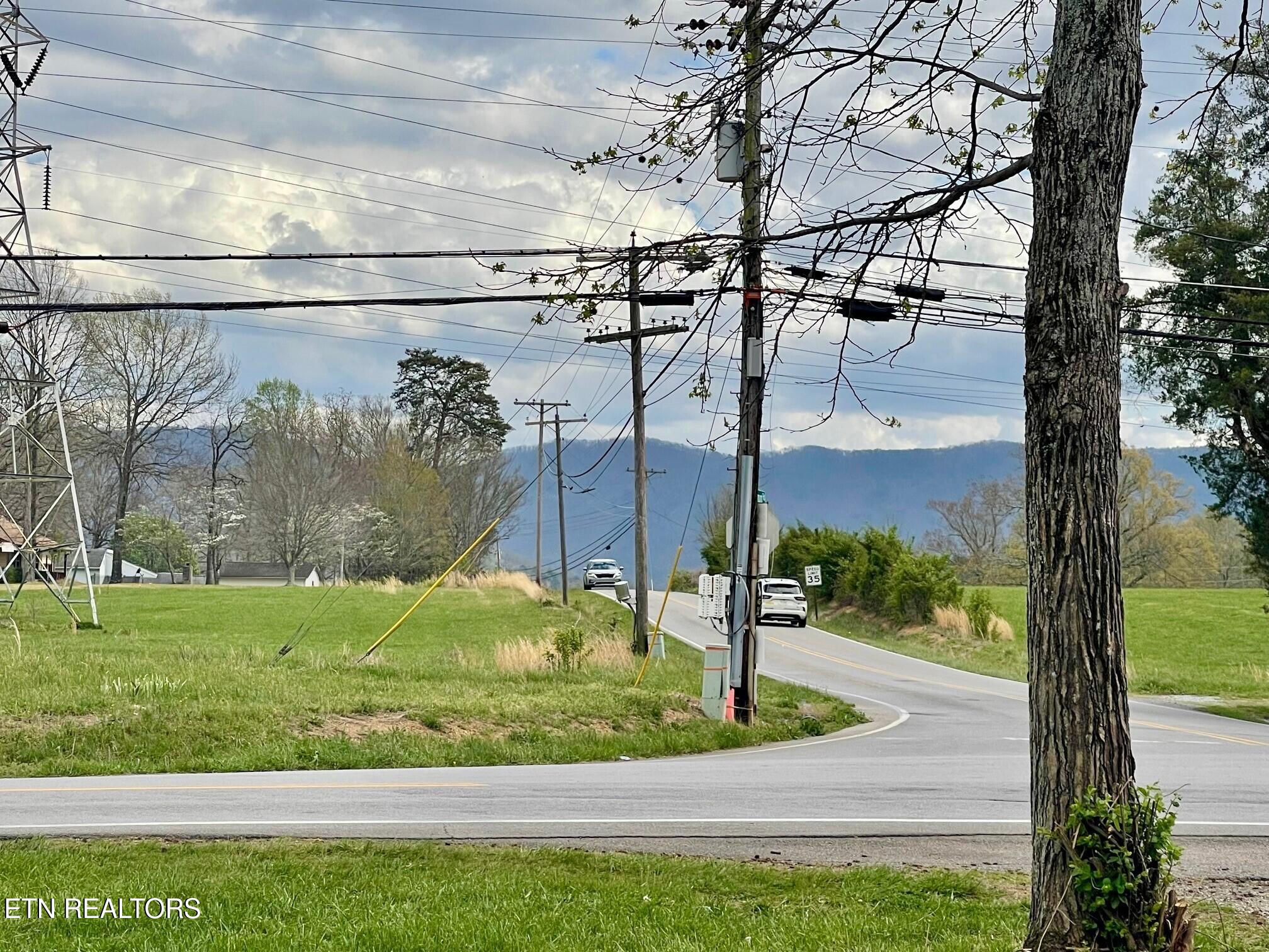 3535 Mint Road Maryville, TN 37803 - Photo 48 of 53 View from front yard