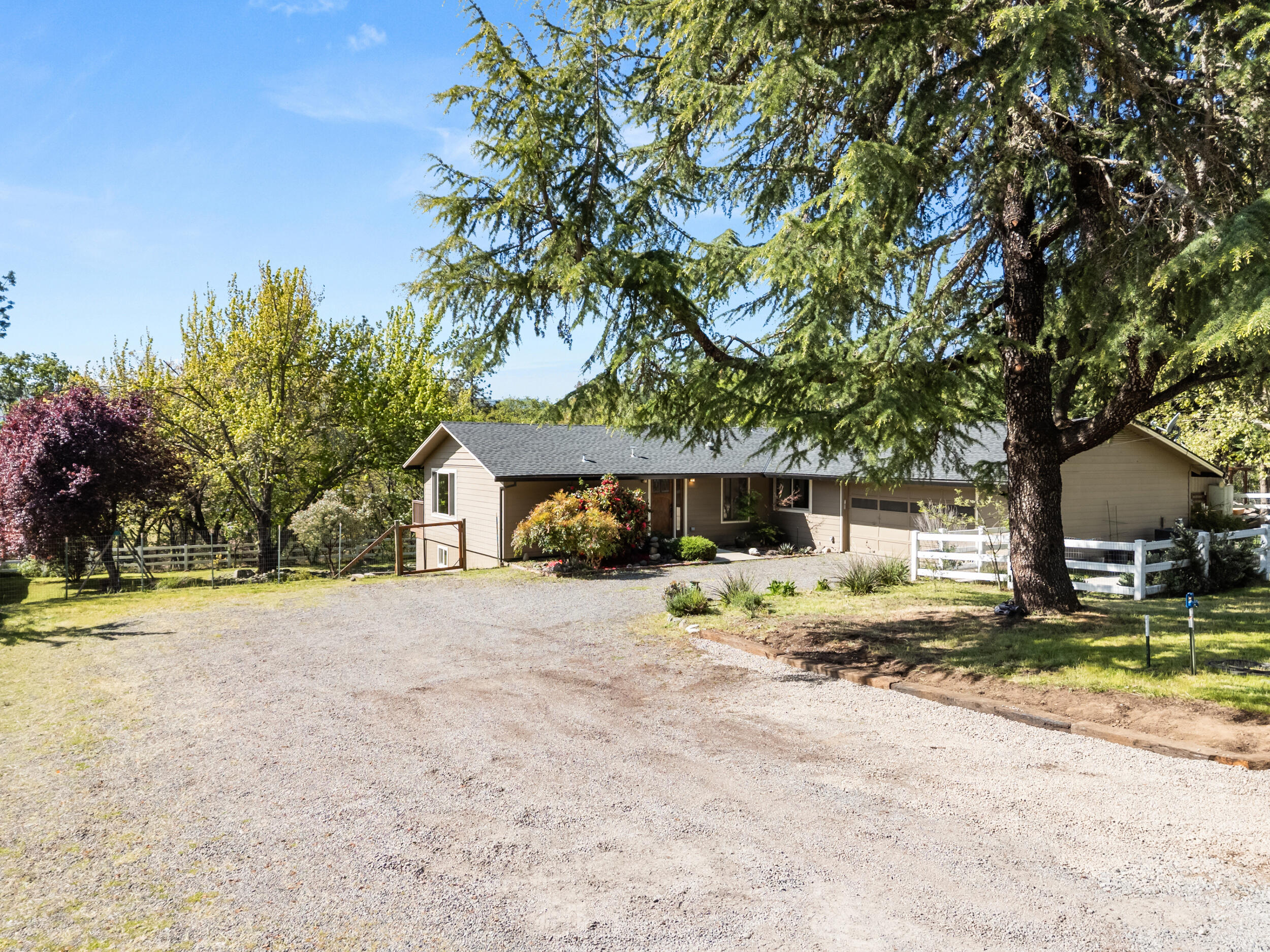 3583 Ross Lane Central Point, OR 97502 - Photo 47 of 52 a front view of a house with a yard and trees