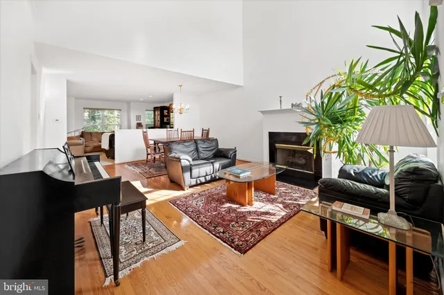 a living room with furniture a fireplace and a potted plant