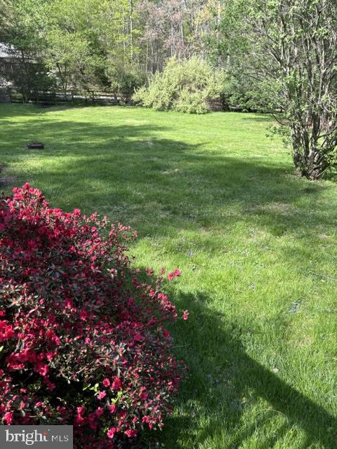 11520 Popes Head Road Fairfax, VA 22030 - Photo 3 of 13 Fully fenced, gorgeous, unique property